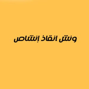 ونش انقاذ إنشاص 